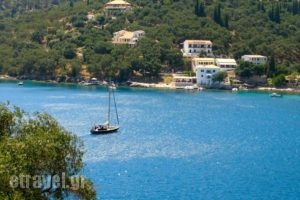 Lena Garnelli Apartments_best prices_in_Apartment_Ionian Islands_Corfu_Kassiopi