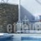 Folegandros Apartments_best prices_in_Apartment_Cyclades Islands_Folegandros_Folegandros Chora