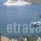 Agelica Apartments_lowest prices_in_Apartment_Dodekanessos Islands_Kalimnos_Kalimnos Chora