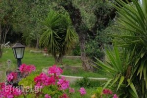 Villa Gerakas_best deals_Villa_Ionian Islands_Zakinthos_Zakinthos Rest Areas