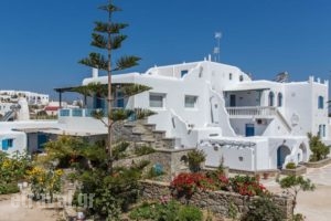 Anais_holidays_in_Hotel_Cyclades Islands_Mykonos_Mykonos ora