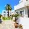 Angela Studios & Apartments_lowest prices_in_Apartment_Crete_Lasithi_Aghios Nikolaos