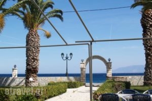 Nefeli Studios_holidays_in_Hotel_Central Greece_Fokida_Eratini