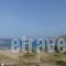 Maistrali_holidays_in_Hotel_Cyclades Islands_Syros_Galissas