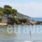Acqua Marina Nautilus_holidays_in_Hotel_Piraeus Islands - Trizonia_Aigina_Agia Marina