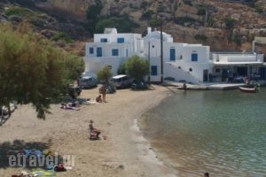 Klados Studios_holidays_in_Hotel_Cyclades Islands_Syros_Syrosora