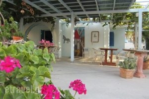 Emporio Hotel - Ancient Elefsina_holidays_in_Hotel_Cyclades Islands_Sandorini_Emborio