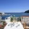 Regina_best prices_in_Hotel_Sporades Islands_Skopelos_Skopelos Chora