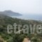 Villa Ioanna_travel_packages_in_Crete_Rethymnon_Plakias