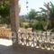 House Rebecca_lowest prices_in_Room_Ionian Islands_Zakinthos_Zakinthos Rest Areas