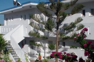 Creta Vassakis Studios_accommodation_in_Hotel_Dodekanessos Islands_Kos_Kos Rest Areas