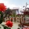 Evli Apartments_accommodation_in_Apartment_Crete_Rethymnon_Rethymnon City
