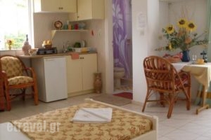 Evli Apartments_best deals_Apartment_Crete_Rethymnon_Rethymnon City