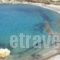 Abrami Traditional Villas - Kritikos_lowest prices_in_Villa_Cyclades Islands_Naxos_Naxos Rest Areas