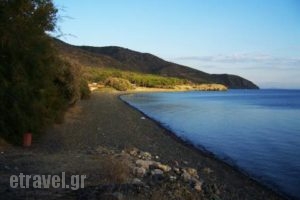 Haramida Beach_best deals_Hotel_Aegean Islands_Lesvos_Lesvos Rest Areas