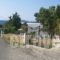 Archontiko Vardia_accommodation_in_Apartment_Cyclades Islands_Andros_Gavrio