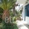 Finikas Studios_lowest prices_in_Apartment_Cyclades Islands_Kithnos_Kithnos Rest Areas