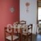 Panorama_best deals_Apartment_Thessaly_Magnesia_Chorto