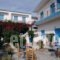 Anna studios_accommodation_in_Apartment_Dodekanessos Islands_Lipsi_Lipsi Chora