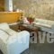 Lion Hotel Apartments_accommodation_in_Apartment_Central Greece_Attica_Athens