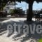 Nostos_holidays_in_Hotel_Sporades Islands_Alonnisos_Patitiri
