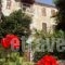 Guesthouse Parthenon_accommodation_in_Apartment_Central Greece_Attica_Athens