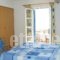 Pension Irene 2_lowest prices_in_Hotel_Cyclades Islands_Naxos_Naxos Chora