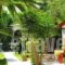 Villa Belmar_travel_packages_in_Central Greece_Evia_Eretria