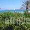 Hotel Petras Beach_accommodation_in_Hotel_Crete_Lasithi_Sitia