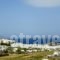 Studios Petros_lowest prices_in_Hotel_Cyclades Islands_Naxos_Naxos chora