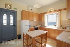 TinosView_lowest prices_in_Apartment_Cyclades Islands_Tinos_Agios Fokas
