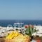 Germanos Studios_lowest prices_in_Hotel_Cyclades Islands_Mykonos_Mykonos ora