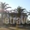 Alexander The Great_travel_packages_in_Ionian Islands_Zakinthos_Zakinthos Rest Areas