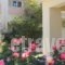 Evdokia Apartments_holidays_in_Apartment_Crete_Chania_Platanias