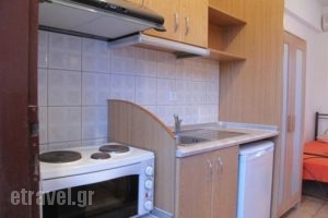 Studios Stella_best prices_in_Apartment_Macedonia_Halkidiki_Toroni