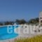 Pegasus Resort_accommodation_in_Hotel_Crete_Rethymnon_Plakias