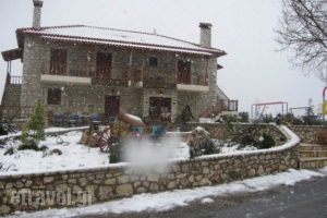 Koustenis Village_holidays_in_Hotel_Peloponesse_Arcadia_Dimitsana