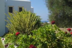 Scala Apartments_travel_packages_in_Cyclades Islands_Naxos_Naxos chora