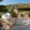 Zefyros studios_lowest prices_in_Apartment_Cyclades Islands_Naxos_Naxos Chora