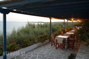 Julia_accommodation_in_Hotel_Cyclades Islands_Paros_Paros Chora