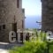Althea_accommodation_in_Apartment_Cyclades Islands_Andros_Andros Rest Areas