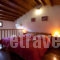 Hovolo Apartments_best prices_in_Hotel_Sporades Islands_Skopelos_Neo Klima - Elios