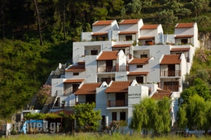 Hovolo Apartments_holidays_in_Hotel_Sporades Islands_Skopelos_Neo Klima - Elios