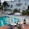 Nefeli_best deals_Hotel_Sporades Islands_Skyros_Skyros Chora
