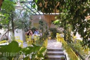 Hotel Ivi_lowest prices_in_Hotel_Cyclades Islands_Antiparos_Antiparos Chora
