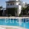 Elizabeth_accommodation_in_Hotel_Cyclades Islands_Paros_Paros Chora