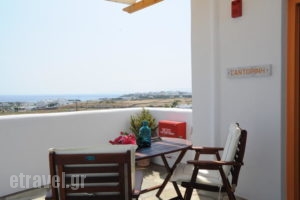 Aigaio Studios_holidays_in_Hotel_Cyclades Islands_Tinos_Tinosora
