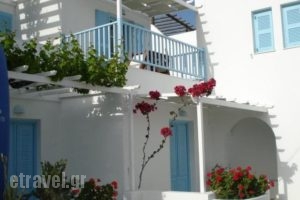 Carmel Studios Apartments_lowest prices_in_Apartment_Cyclades Islands_Paros_Piso Livadi