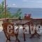 Villa Annie_accommodation_in_Villa_Aegean Islands_Lesvos_Mythimna (Molyvos