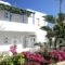 Loukia Apartments & Studios_lowest prices_in_Apartment_Cyclades Islands_Paros_Paros Chora
